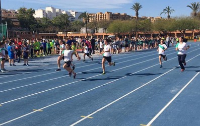 olimpiadas fesd 2019