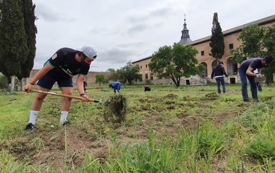 Solidaridad jóvenes Aquinas en Loeches - Tareas